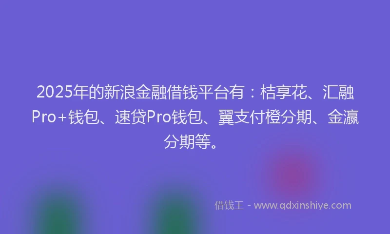 2025年的新浪金融借钱平台有：桔享花、汇融Pro+钱包、速贷Pro钱包、翼支付橙分期、金瀛分期等。