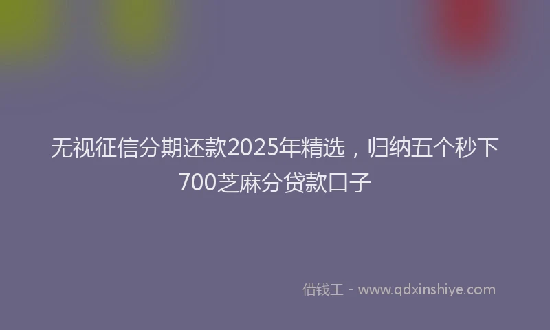 无视征信分期还款2025年精选，归纳五个秒下700芝麻分贷款口子