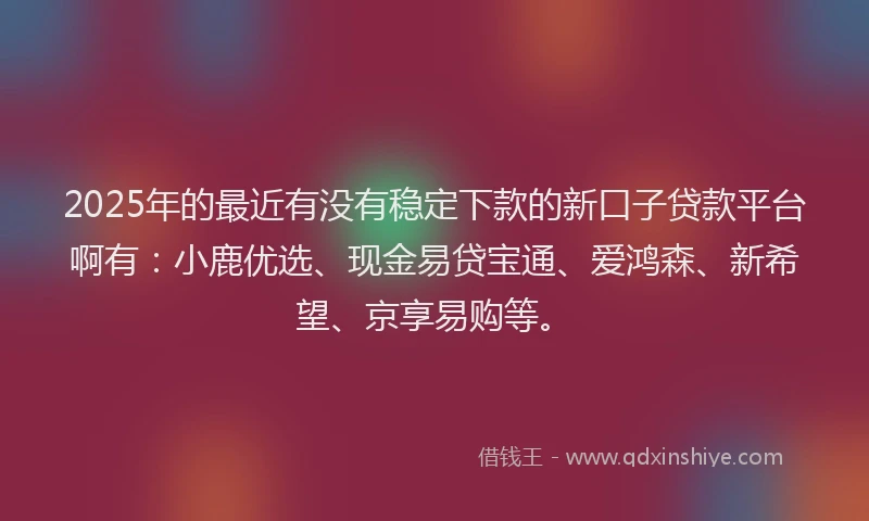 2025年的最近有没有稳定下款的新口子贷款平台啊有：小鹿优选、现金易贷宝通、爱鸿森、新希望、京享易购等。