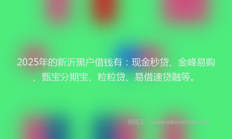2025年的新沂黑户借钱有：现金秒贷、金峰易购、甄宝分期宝、粒粒贷、易借速贷融等。