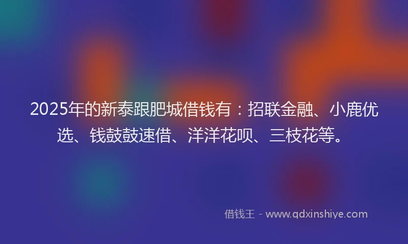 2025年的新泰跟肥城借钱有：招联金融、小鹿优选、钱鼓鼓速借、洋洋花呗、三枝花等。
