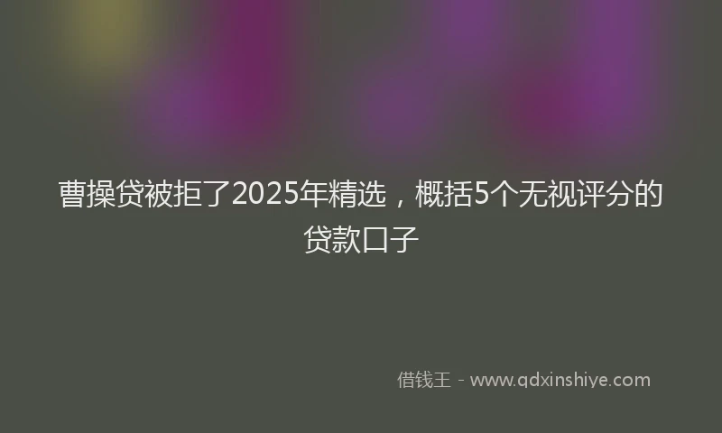 曹操贷被拒了2025年精选，概括5个无视评分的贷款口子