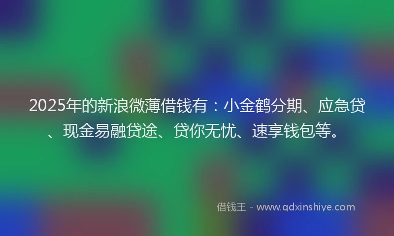 2025年的新浪微薄借钱有：小金鹤分期、应急贷、现金易融贷途、贷你无忧、速享钱包等。