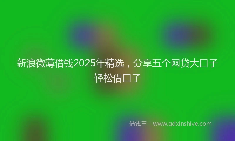 新浪微薄借钱2025年精选，分享五个网贷大口子轻松借口子