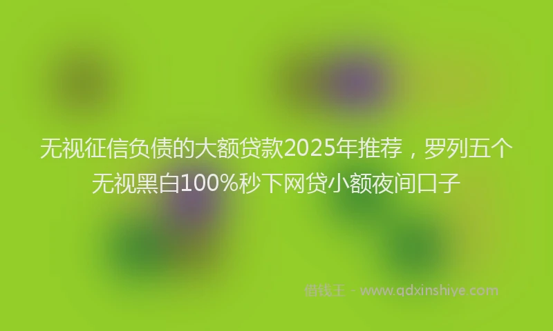 无视征信负债的大额贷款2025年推荐，罗列五个无视黑白100%秒下网贷小额夜间口子
