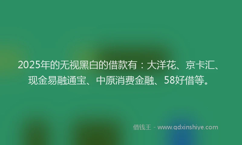 2025年的无视黑白的借款有：大洋花、京卡汇、现金易融通宝、中原消费金融、58好借等。
