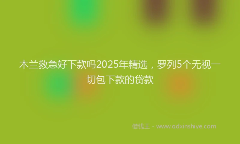 木兰救急好下款吗2025年精选，罗列5个无视一切包下款的贷款