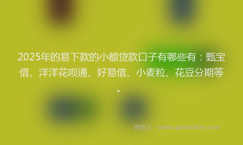 2025年的易下款的小额贷款口子有哪些有：甄宝借、洋洋花呗通、好易借、小麦粒、花豆分期等。