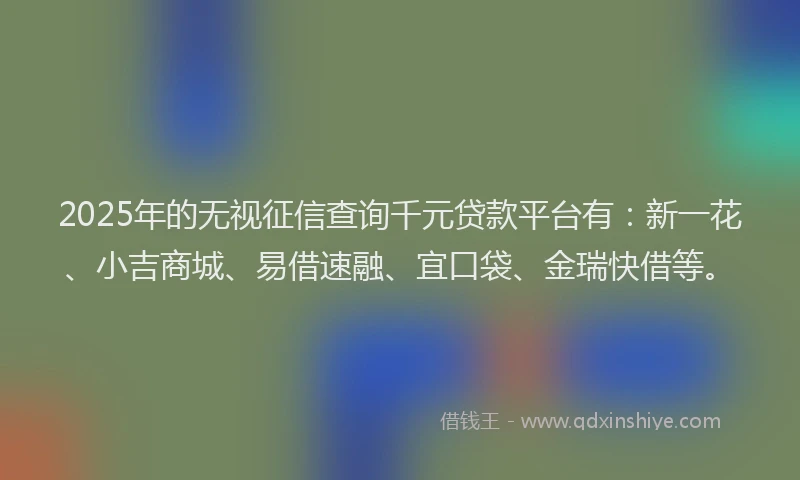 2025年的无视征信查询千元贷款平台有：新一花、小吉商城、易借速融、宜口袋、金瑞快借等。