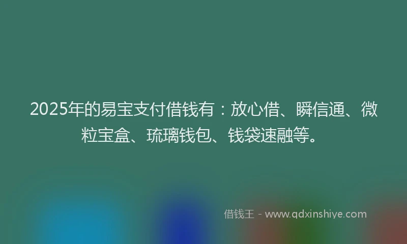 2025年的易宝支付借钱有：放心借、瞬信通、微粒宝盒、琉璃钱包、钱袋速融等。