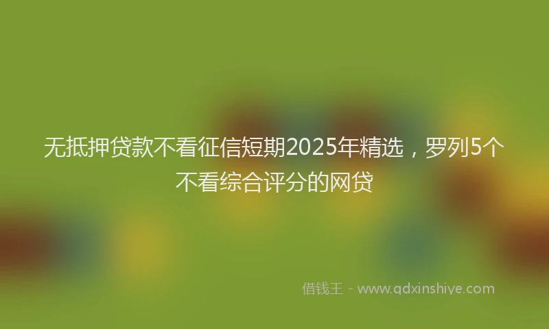 无抵押贷款不看征信短期2025年精选，罗列5个不看综合评分的网贷