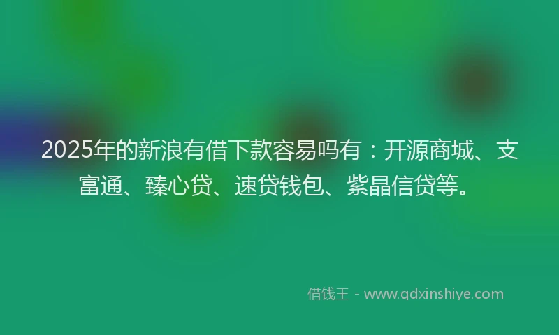 2025年的新浪有借下款容易吗有：开源商城、支富通、臻心贷、速贷钱包、紫晶信贷等。