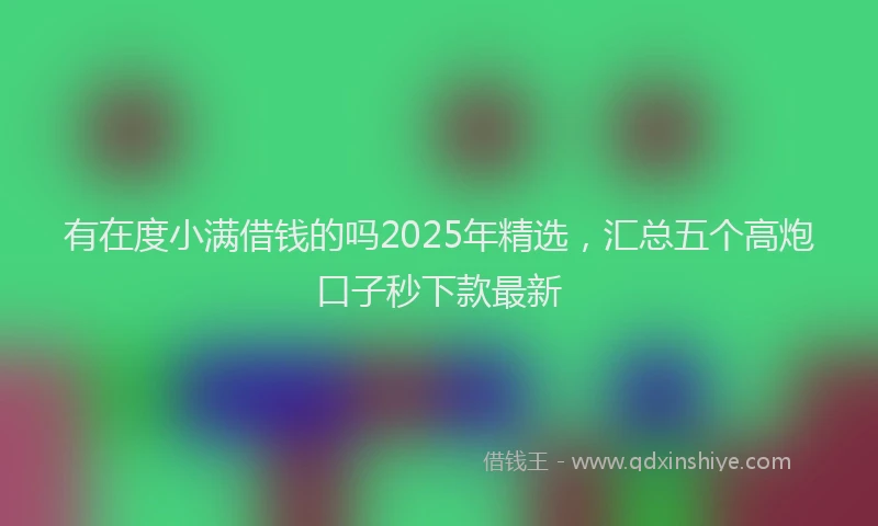 有在度小满借钱的吗2025年精选，汇总五个高炮口子秒下款最新