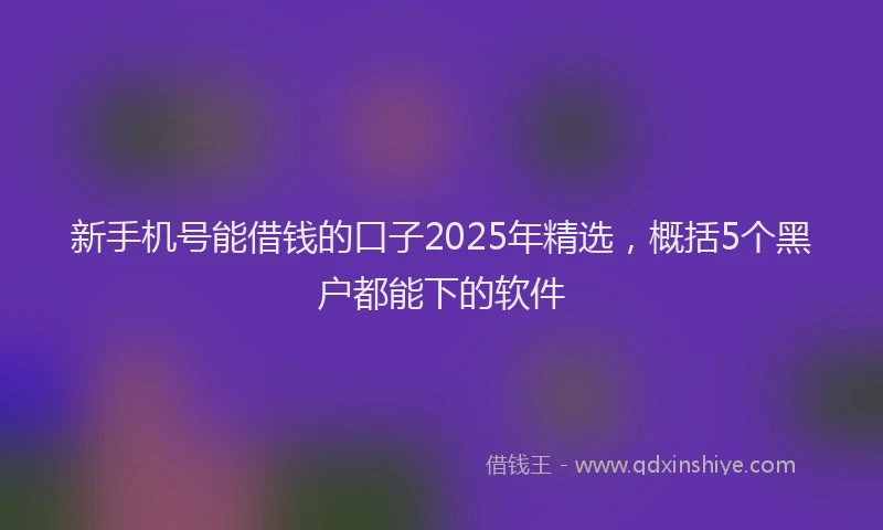 新手机号能借钱的口子2025年精选，概括5个黑户都能下的软件
