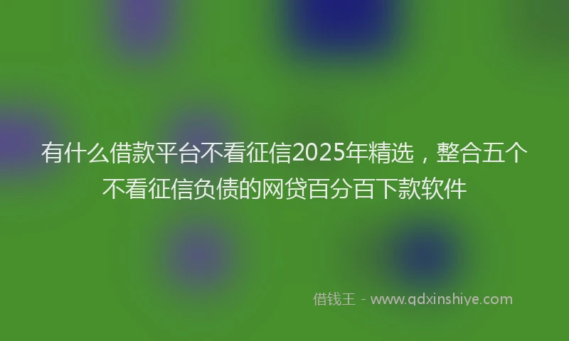 有什么借款平台不看征信2025年精选，整合五个不看征信负债的网贷百分百下款软件
