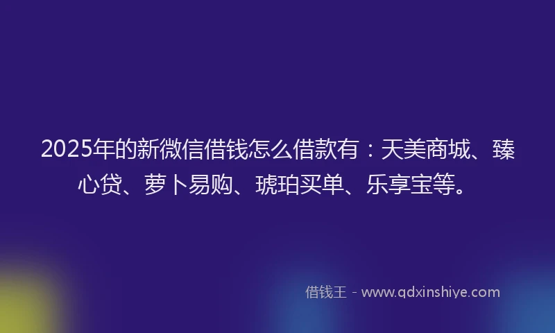 2025年的新微信借钱怎么借款有：天美商城、臻心贷、萝卜易购、琥珀买单、乐享宝等。