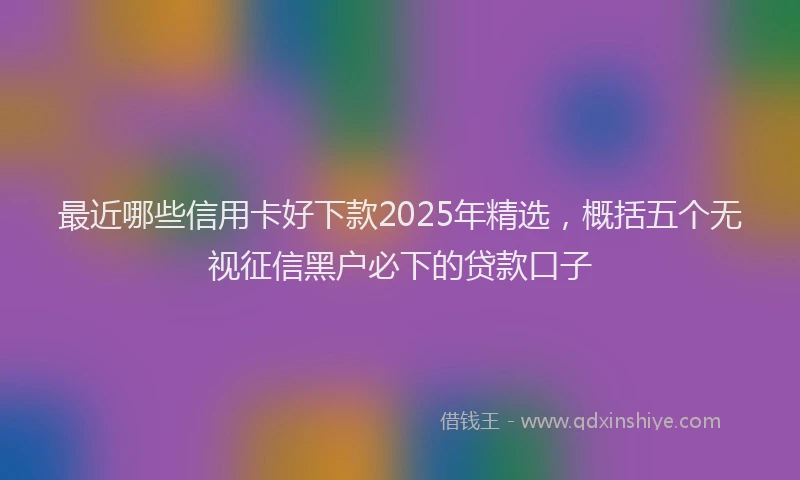 最近哪些信用卡好下款2025年精选，概括五个无视征信黑户必下的贷款口子