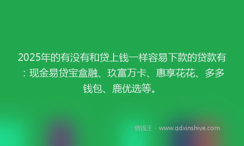 2025年的有没有和贷上钱一样容易下款的贷款有：现金易贷宝盒融、玖富万卡、惠享花花、多多钱包、鹿优选等。