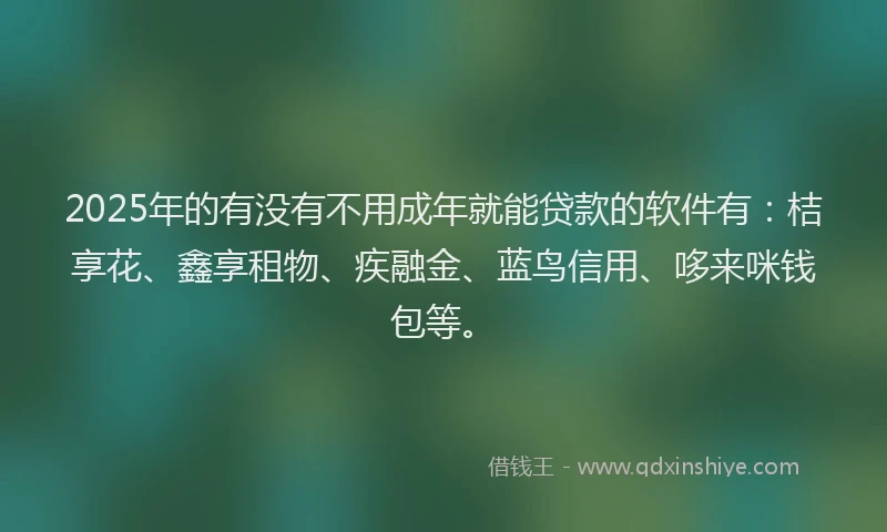 2025年的有没有不用成年就能贷款的软件有：桔享花、鑫享租物、疾融金、蓝鸟信用、哆来咪钱包等。