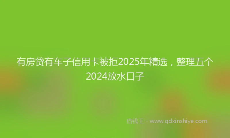 有房贷有车子信用卡被拒2025年精选，整理五个2024放水口子