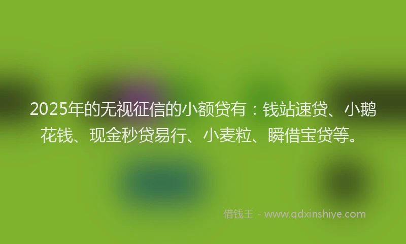 2025年的无视征信的小额贷有：钱站速贷、小鹅花钱、现金秒贷易行、小麦粒、瞬借宝贷等。