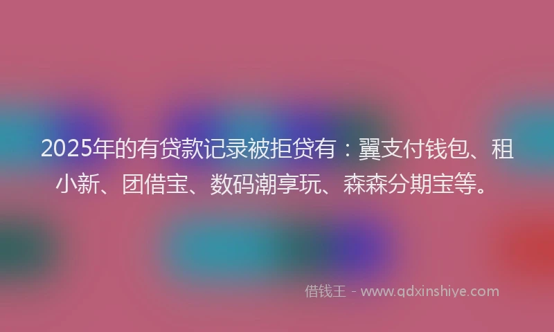 2025年的有贷款记录被拒贷有：翼支付钱包、租小新、团借宝、数码潮享玩、森森分期宝等。