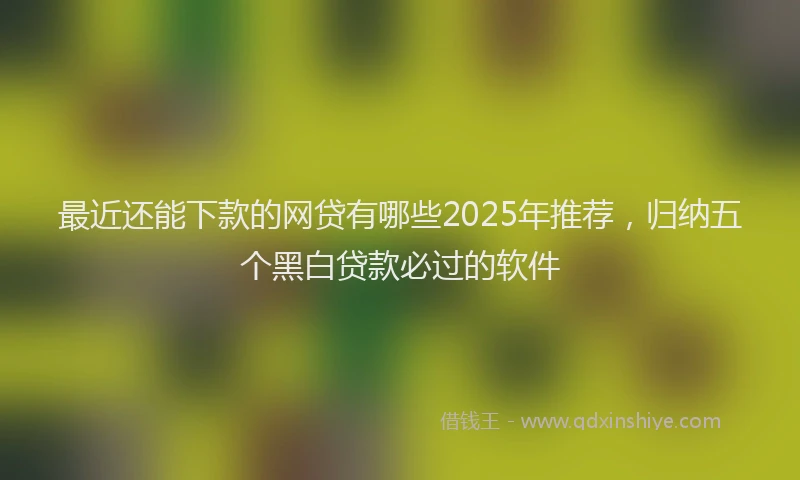 最近还能下款的网贷有哪些2025年推荐，归纳五个黑白贷款必过的软件