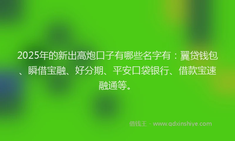 2025年的新出高炮口子有哪些名字有：翼贷钱包、瞬借宝融、好分期、平安口袋银行、借款宝速融通等。