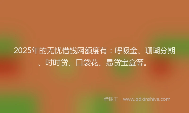 2025年的无忧借钱网额度有：呼吸金、珊瑚分期、时时贷、口袋花、易贷宝盒等。
