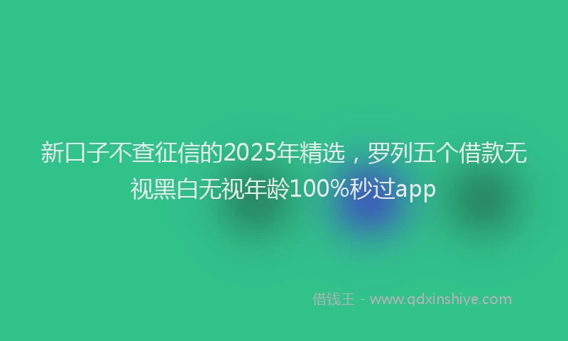 新口子不查征信的2025年精选，罗列五个借款无视黑白无视年龄100%秒过app