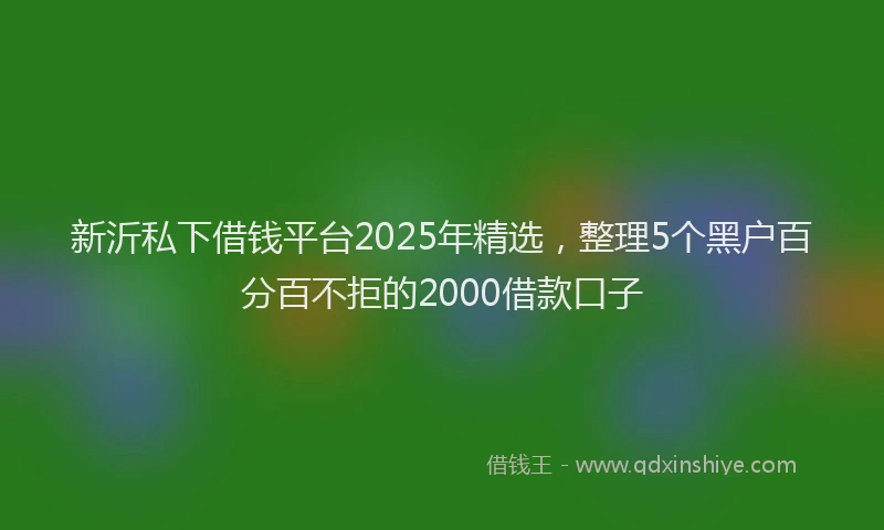 新沂私下借钱平台2025年精选，整理5个黑户百分百不拒的2000借款口子