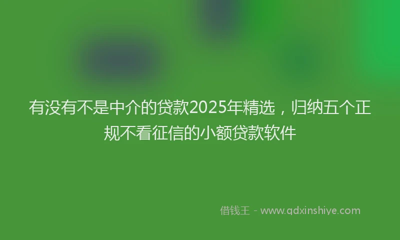 有没有不是中介的贷款2025年精选，归纳五个正规不看征信的小额贷款软件