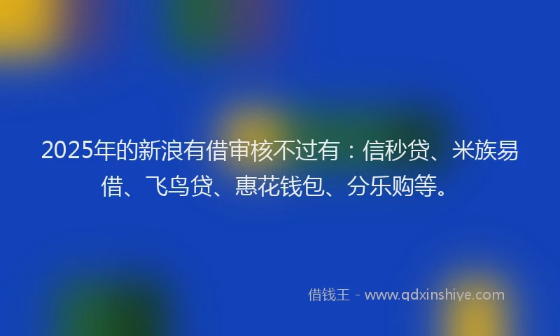2025年的新浪有借审核不过有：信秒贷、米族易借、飞鸟贷、惠花钱包、分乐购等。