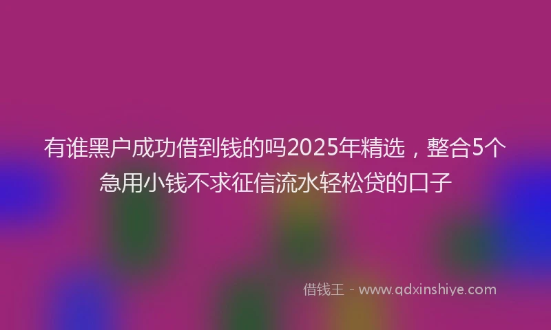 有谁黑户成功借到钱的吗2025年精选，整合5个急用小钱不求征信流水轻松贷的口子