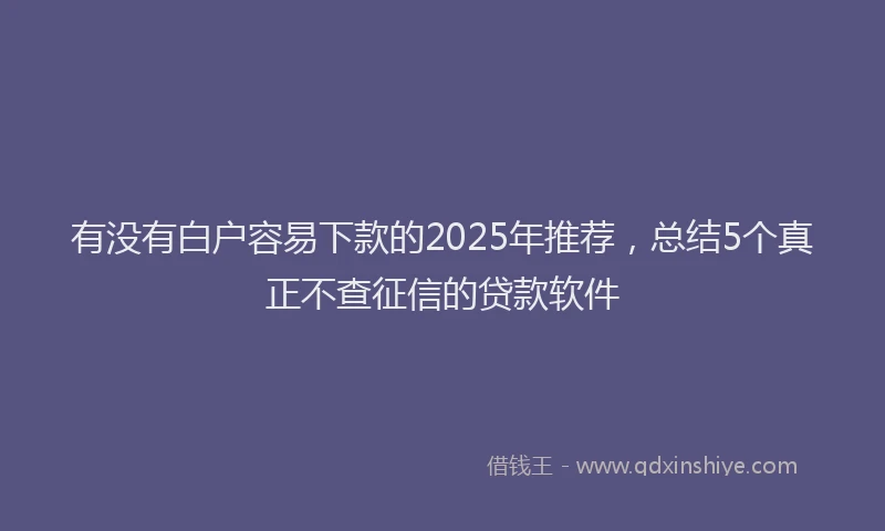 有没有白户容易下款的2025年推荐，总结5个真正不查征信的贷款软件