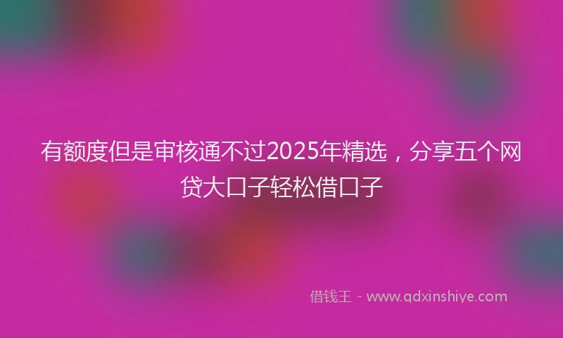 有额度但是审核通不过2025年精选，分享五个网贷大口子轻松借口子
