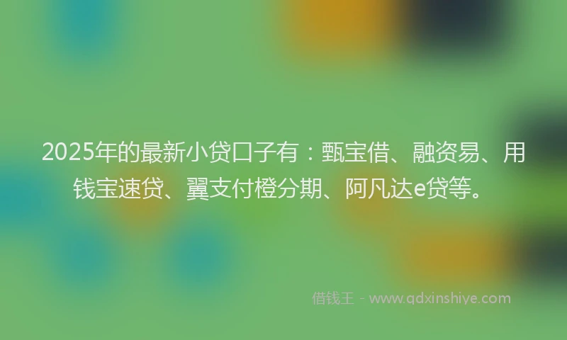 2025年的最新小贷口子有：甄宝借、融资易、用钱宝速贷、翼支付橙分期、阿凡达e贷等。