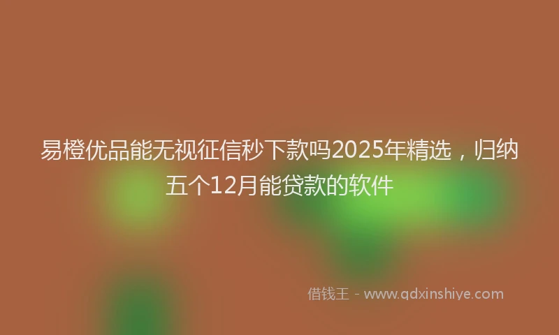 易橙优品能无视征信秒下款吗2025年精选，归纳五个12月能贷款的软件