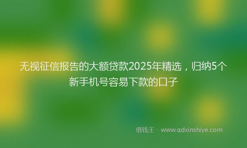 无视征信报告的大额贷款2025年精选，归纳5个新手机号容易下款的口子