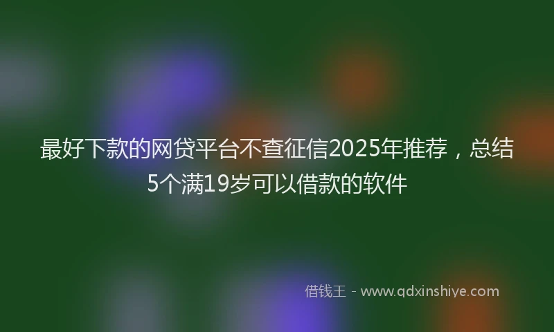 最好下款的网贷平台不查征信2025年推荐，总结5个满19岁可以借款的软件