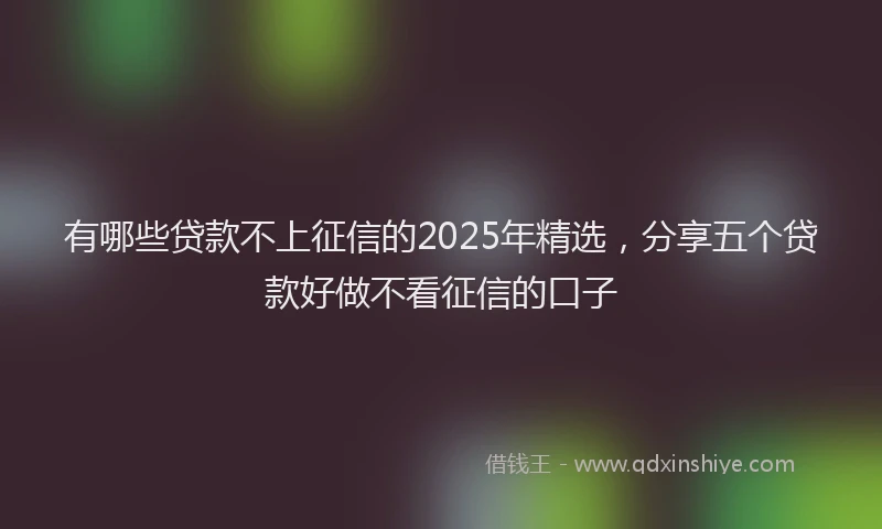 有哪些贷款不上征信的2025年精选，分享五个贷款好做不看征信的口子