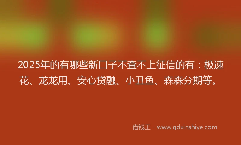 2025年的有哪些新口子不查不上征信的有：极速花、龙龙用、安心贷融、小丑鱼、森森分期等。