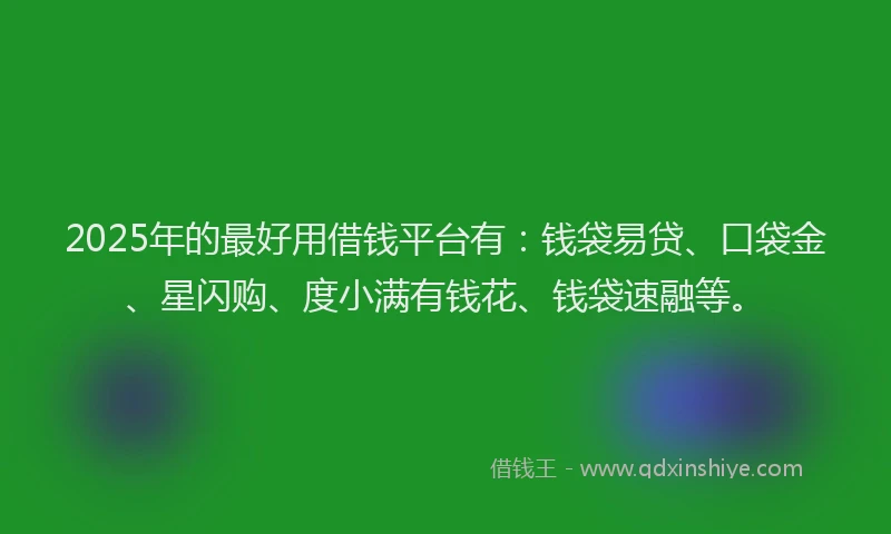 2025年的最好用借钱平台有：钱袋易贷、口袋金、星闪购、度小满有钱花、钱袋速融等。