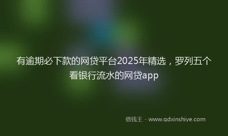 有逾期必下款的网贷平台2025年精选，罗列五个看银行流水的网贷app