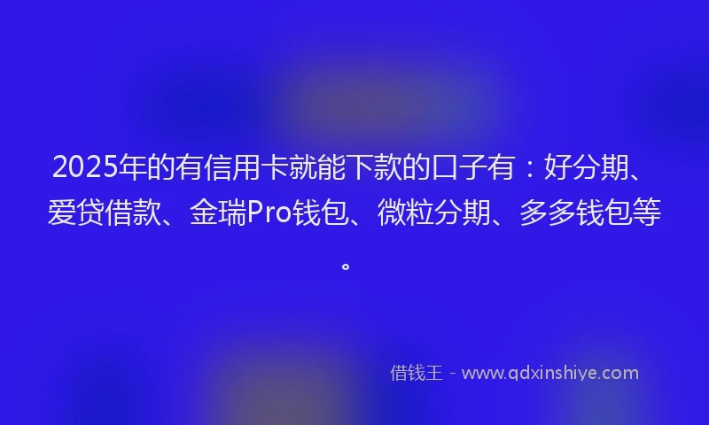 2025年的有信用卡就能下款的口子有：好分期、爱贷借款、金瑞Pro钱包、微粒分期、多多钱包等。