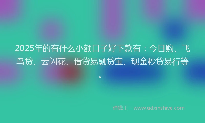 2025年的有什么小额口子好下款有：今日购、飞鸟贷、云闪花、借贷易融贷宝、现金秒贷易行等。