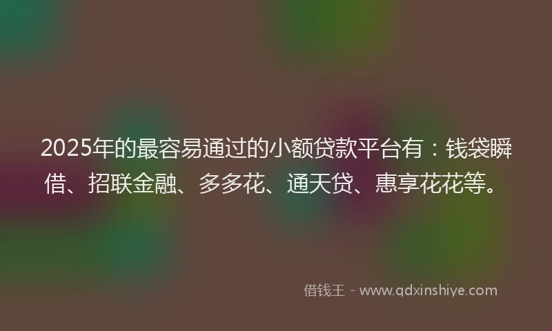 2025年的最容易通过的小额贷款平台有：钱袋瞬借、招联金融、多多花、通天贷、惠享花花等。