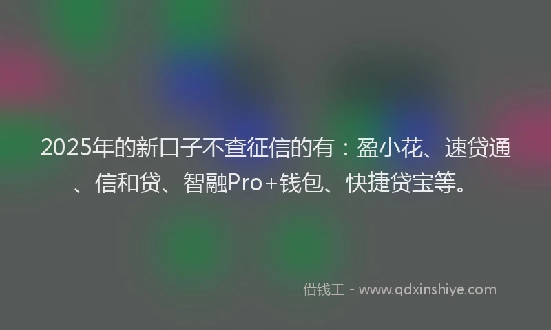 2025年的新口子不查征信的有：盈小花、速贷通、信和贷、智融Pro+钱包、快捷贷宝等。