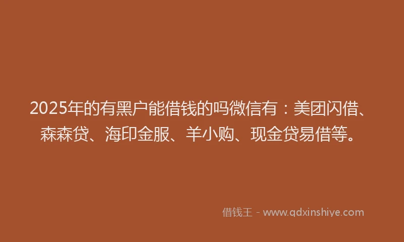 2025年的有黑户能借钱的吗微信有：美团闪借、森森贷、海印金服、羊小购、现金贷易借等。