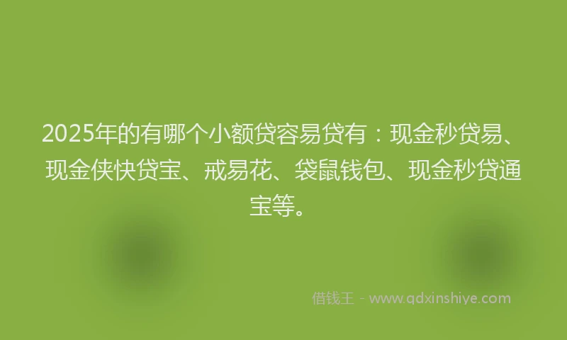 2025年的有哪个小额贷容易贷有：现金秒贷易、现金侠快贷宝、戒易花、袋鼠钱包、现金秒贷通宝等。
